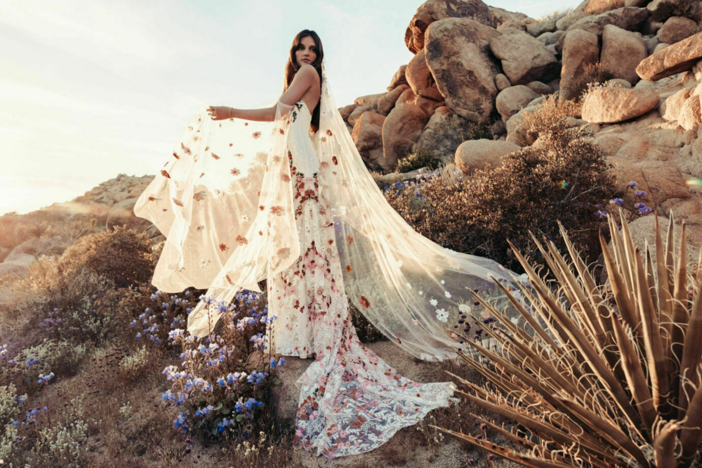 Rue de Seine | Desert Rose